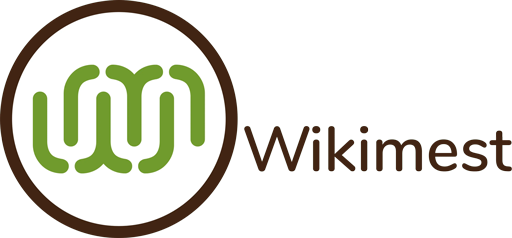 eLearning Wikimest